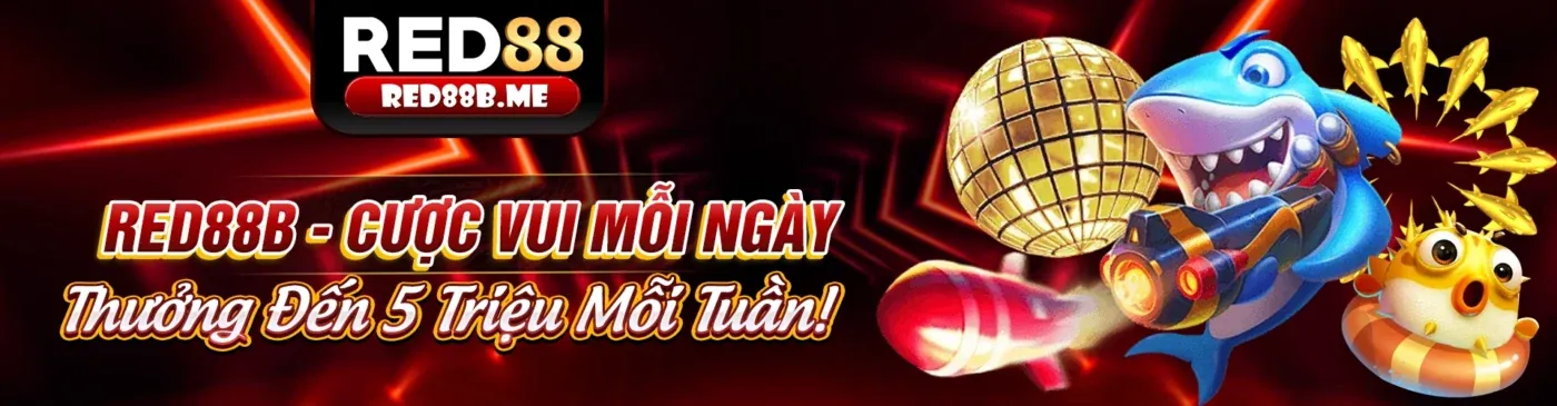 Cách kl99 bet tối ưu trải nghiệm người dùng