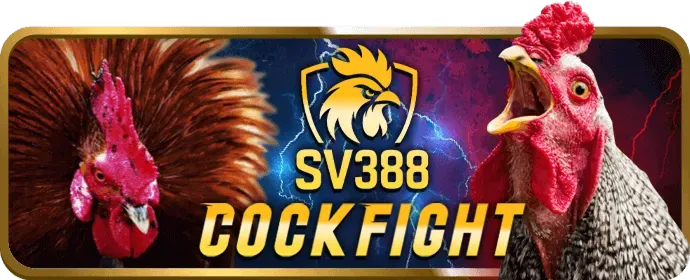 Giá trị thực sự từ ưu đãi KL99 Bet